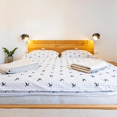 Schoener Wohnen Apartamento Bad Mitterndorf